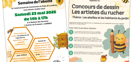 La Semaine de l’Abeille revient en Pays de Lumbres